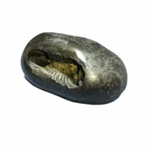 Laxmi Narayan Shaligram & Rare for Health, Wealth & Success 401 Gram (Lakshmi narayan) - Image 2