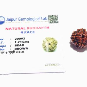 Abhimantrit 4 Mukhi Rudraksha Bead, Affordable & Certified - Image 2