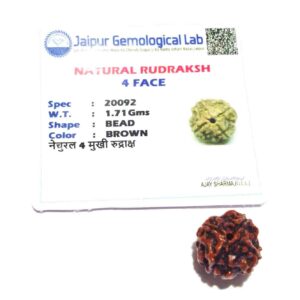 Abhimantrit 4 Mukhi Rudraksha Bead, Affordable & Certified - Image 6