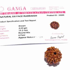 Abhimantrit 6 Mukhi Rudraksha Bead Rare & Affordable Certified - Image 2
