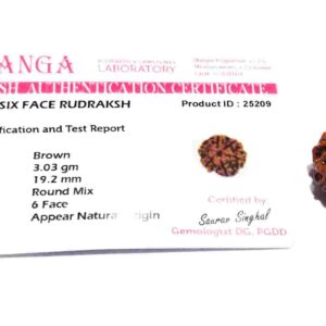 Abhimantrit 6 Mukhi Rudraksha Bead Rare & Affordable Certified - Image 6