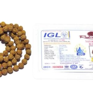 Natural 6 Mukhi Rudraksha Mala Genuine Affordable & Certified Mala - Image 2