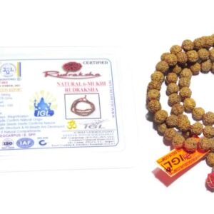 Natural 6 Mukhi Rudraksha Mala Genuine Affordable & Certified Mala - Image 6