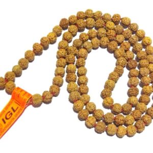 Natural 6 Mukhi Rudraksha Mala Genuine Affordable & Certified Mala - Image 5