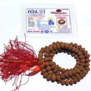 7 Mukhi Rudraksha Mala & Affordable Certified (7mm) - Image 2