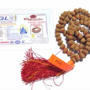 7 Mukhi Rudraksha Mala & Affordable Certified (7mm) - Image 5