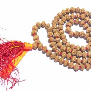 7 Mukhi Rudraksha Mala & Affordable Certified (7mm) - Image 4