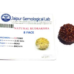 Abhimantrit 8 Mukhi Rudraksha Bead Rare, Affordable & Certified - Image 2