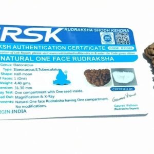 Certified 1 Mukhi Rudraksha One Faced Rudraksha 100% Genuine - Image 7