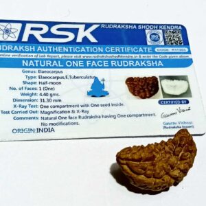 Certified 1 Mukhi Rudraksha One Faced Rudraksha 100% Genuine - Image 6