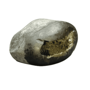 Laxmi Narayan Shaligram 100% Genuine & Rare 487 Gram (Lakshmi narayan) - Image 2