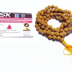 Natural 5 (Panch) Mukhi Rudraksha Mala Affordable & Certified (7mm) - Image 5