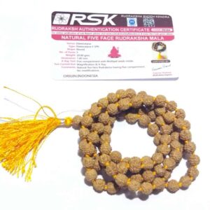 Natural 5 (Panch) Mukhi Rudraksha Mala Affordable & Certified (7mm) - Image 2