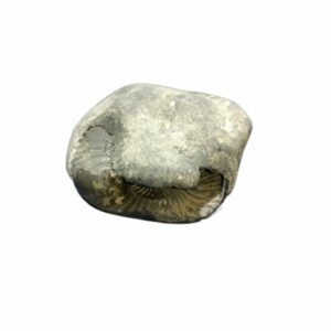 Laxmi Narayan Shaligram 100% Genuine & Rare- 406 Gram (Lakshmi narayan) - Image 4