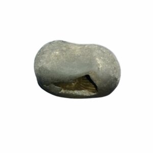 Laxmi Narayan Shaligram 100% Genuine & Rare- 355Gram (Lakshmi narayan) - Image 2