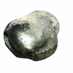 Rare Laxmi Narayan Shaligram 100% Genuine - 268 Gram (Lakshmi narayan) - Image 2