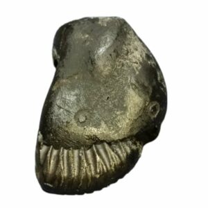 Rare Laxmi Narayan Shaligram 100% Genuine - 131 Gram (Lakshmi narayan) - Image 2