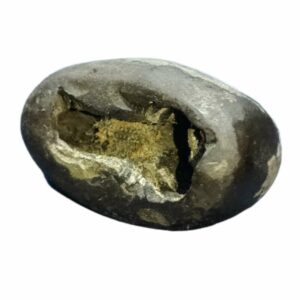 Laxmi Narayan Shaligram 100% Genuine & Rare 128 Gram (Lakshmi narayan) - Image 2