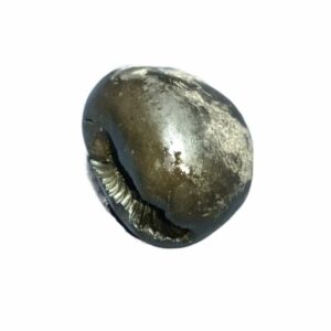 Laxmi Narayan Shaligram 100% Genuine & Rare 137 Gram (Lakshmi narayan) - Image 1