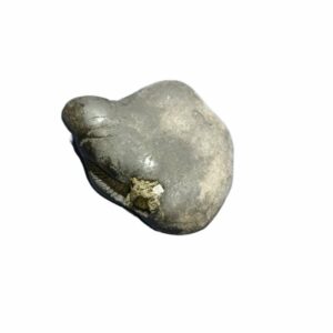 Laxmi Narayan Shaligram 100% Genuine & Rare 811 Gram (Lakshmi narayan) - Image 3