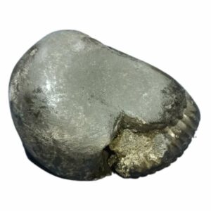 Rare Laxmi Narayan Shaligram 100% Genuine - 131 Gram (Lakshmi narayan) - Image 4