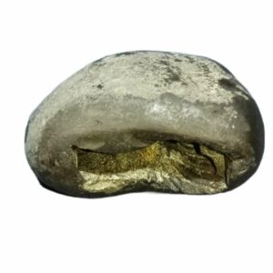 Laxmi Narayan Shaligram 100% Genuine & Rare 128 Gram (Lakshmi narayan) - Image 3
