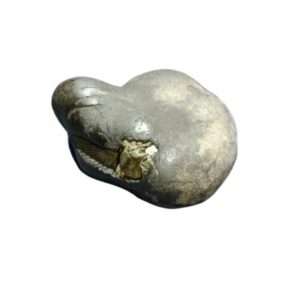 Laxmi Narayan Shaligram 100% Genuine & Rare 811 Gram (Lakshmi narayan) - Image 4