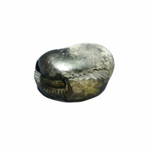Rare Laxmi Narayan Shaligram 100% Genuine - 268 Gram (Lakshmi narayan) - Image 4