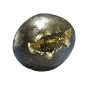 Laxmi Narayan Shaligram 100% Genuine & Rare 137 Gram (Lakshmi narayan) - Image 2