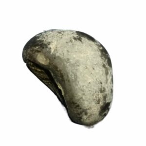 Laxmi Narayan Shaligram 100% Genuine & Rare 128 Gram (Lakshmi narayan) - Image 5