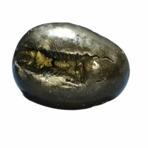 Laxmi Narayan Shaligram 100% Genuine & Rare 137 Gram (Lakshmi narayan) - Image 3