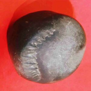 Rare Laxmi Narayan Shaligram 100% Genuine - 380 Gram (Lakshmi narayan) - Image 5