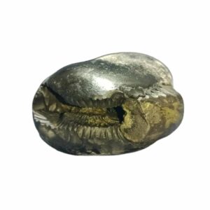 Rare Laxmi Narayan Shaligram 100% Genuine - 268 Gram (Lakshmi narayan) - Image 5