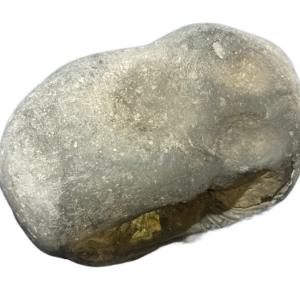 Laxmi Narayan Shaligram 100% Genuine & Rare 622 Gram (Lakshmi narayan) - Image 4