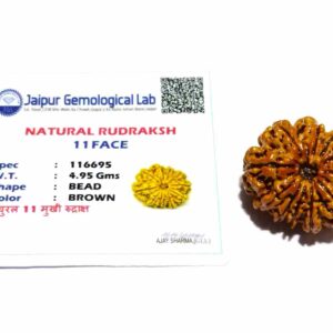 Natural 11 Mukhi Nepali Rudraksha Bead, Affordable & Certified 24 mm - Image 6