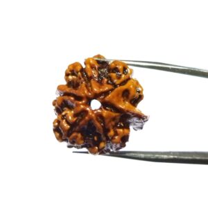 Abhimantrit Ganesh Rudraksha Bead, Affordable & Certified - Image 6