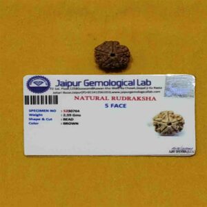 5 Mukhi Rudraksha 5 Mukhi Rudraksha