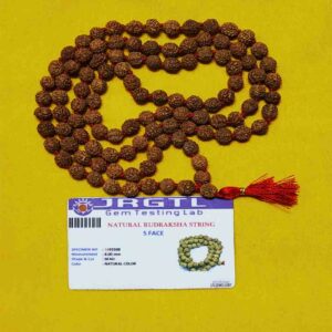 5 Mukhi Rudraksha Mala 5 Mukhi Rudraksha Mala