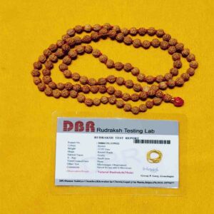 Abhimantrit 6 Mukhi Rudraksha Mala Abhimantrit 6 Mukhi Rudraksha Mala