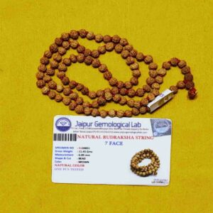 Abhimantrit 7 Mukhi Rudraksha Mala Abhimantrit 7 Mukhi Rudraksha Mala