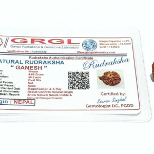 Abhimantrit Ganesh Rudraksha Bead, Affordable & Certified - Image 7
