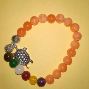 Abhimantrit Bracelet  (Unisex) & Tortoise,Tiger Eye & Multicolour Stone (Hakik) - Image 1