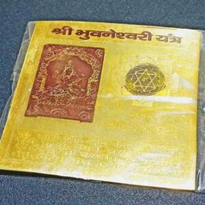 Abhimantrit Shree Bhuvaneshwari Yantra -For Victory on Enemies, Success, Wealth (Bhuvneshwari Yantra) - Image 3