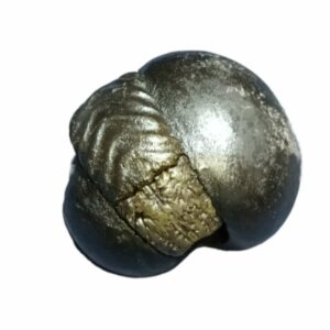 Laxmi Narayan Shaligram 100% Genuine - 249 Gram- Very Rare (Lakshmi narayan) - Image 2