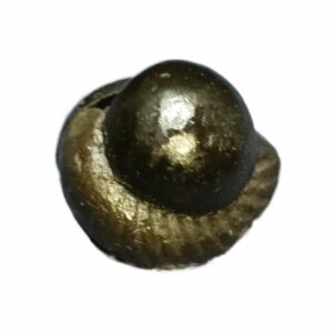 Laxmi Narayan Shaligram 100% Genuine - 72 Gram- Very Rare (Lakshmi narayan) - Image 2