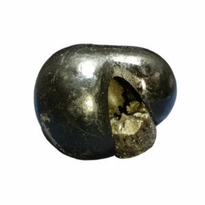 Laxmi Narayan Shaligram 100% Genuine - 249 Gram- Very Rare (Lakshmi narayan) - Image 3