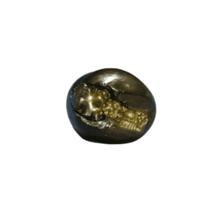 Laxmi Narayan Shaligram 100% Genuine - 37 Gram- Very Rare (Lakshmi narayan) - Image 1