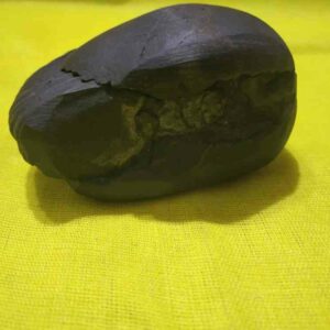 Laxmi Narayan Shaligram 100% Genuine - 239 Gram- Very Rare (Lakshmi narayan) - Image 3
