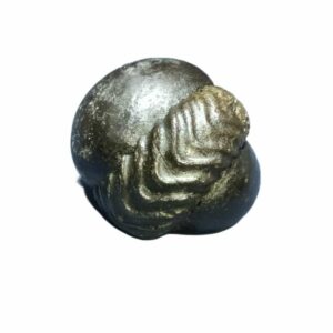 Laxmi Narayan Shaligram 100% Genuine - 249 Gram- Very Rare (Lakshmi narayan) - Image 1