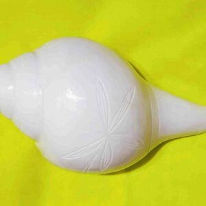 Abhimantrit - Vamavarti Blowing Shankh (Conch) 11 cm Size Small - Sound Shankh - Image 7